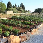 Trulli Terra Di Mezzo Сasa de vacaciones *