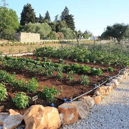 Trulli Terra Di Mezzo بيت للعطل *